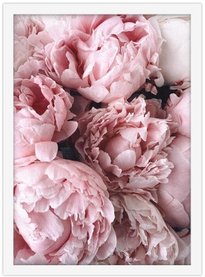 Ροζ Τριαντάφυλλα, Φύση, Πίνακες σε καμβά, 20 x 30 εκ. (51554)
