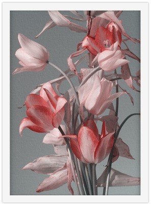 Ροζ & Κόκκινα Άνθοι, Φύση, Πίνακες σε καμβά, 20 x 30 εκ. (51553)