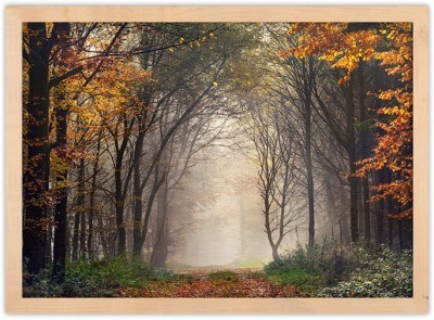 Ομίχλη μέσα στο Δάσος, Φύση, Πίνακες σε καμβά, 30 x 20 εκ. (51537)
