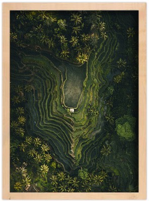 Καλλιέργειες σε Τροπικό Δάσος, Φύση, Πίνακες σε καμβά, 20 x 30 εκ. (51531)
