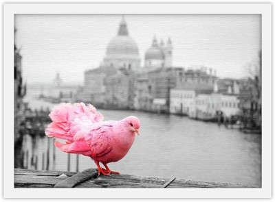 Pink Dove, Πόλεις – Ταξίδια, Πίνακες σε καμβά, 30 x 20 εκ. (51518)