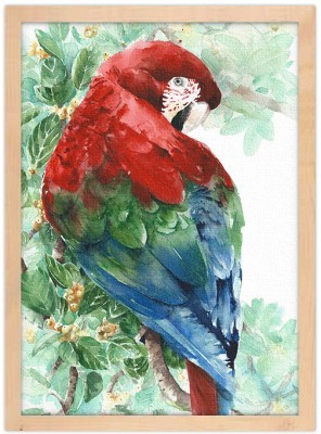 Παπαγάλος σε πόζα, Ζωγραφική, Πίνακες σε καμβά, 15 x 20