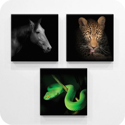 Wild Animals, Διάφορα, Mini Set καμβάς, 25 x 25 εκ.