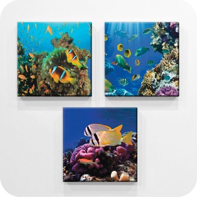 Ο βυθός της θάλασσας, Διάφορα, Mini Set καμβάς, 25 x 25 εκ.