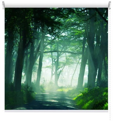 Houseart Τροπικό δάσος, Φύση, Ρολοκουρτίνες, 104 x 97 εκ.