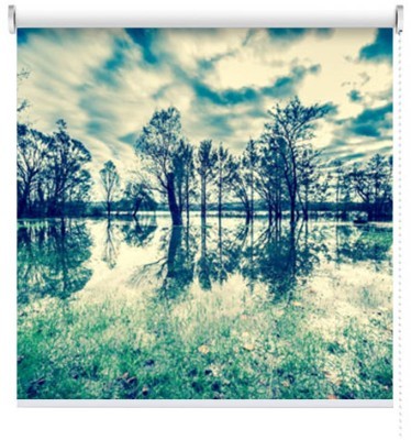 Xρώματα του φθινοπώρου, Φύση, Ρολοκουρτίνες, 123 x 82 εκ.