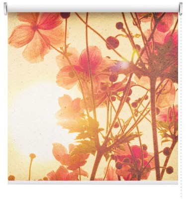 Houseart Ανεμώνη, Φύση, Ρολοκουρτίνες, 120 x 86 εκ.