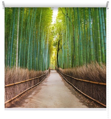 Δάσος μπαμπού, Φύση, Ρολοκουρτίνες, 120 x 80 εκ.