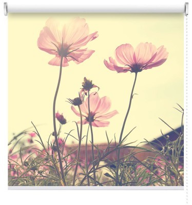 Houseart Λουλούδια «Κόσμος», Φύση, Ρολοκουρτίνες, 80 x 121 εκ.