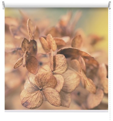 Houseart Ορτανσίες, Φύση, Ρολοκουρτίνες, 120 x 80 εκ.