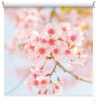 Houseart Αμυγδαλιά, Φύση, Ρολοκουρτίνες, 100 x 100 εκ.