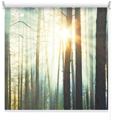 Houseart Ηλιοβασίλεμα στο δάσος, Φύση, Ρολοκουρτίνες, 120 x 80 εκ.