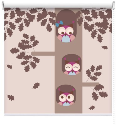 Κουκουβάγιες σε δέντρο, Παιδικά, Ρολοκουρτίνες, 100 x 100 εκ.