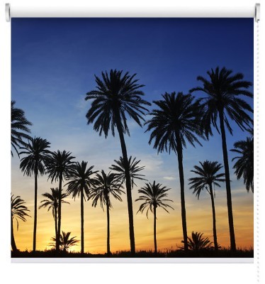 Φοίνικες στο ηλιοβασίλεμα, Πόλεις - Ταξίδια, Ρολοκουρτίνες, 120 x 81 εκ.