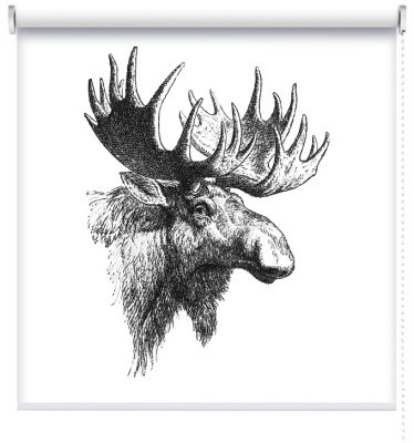 Άλκη της Ευρασίας, Vintage, Ρολοκουρτίνες, 87 x 116 εκ.