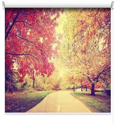 Mονοπάτι στο Δάσος, Vintage, Ρολοκουρτίνες, 111 x 91 εκ.