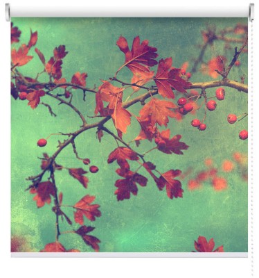 Houseart Φθινοπωρινά φύλλα, Vintage, Ρολοκουρτίνες, 120 x 81 εκ.