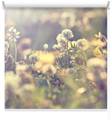 Houseart Λουλούδια ρετρό, Vintage, Ρολοκουρτίνες, 100 x 100 εκ.