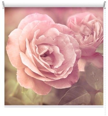 Ροζ Τριαντάφυλλα, Vintage, Ρολοκουρτίνες, 120 x 80 εκ.