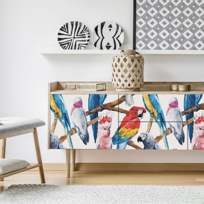 Houseart - ΣΗΜΑΝΤΙΚΟ: Σε περίπτωση διαφοράς τιμής από το κατάστημα ισχύει παντα και μόνο η τιμή του καταστήματος Πολύχρωμοι παπαγάλοι, Μοτίβα, Αυτοκόλλητα έπιπλων, 50 x