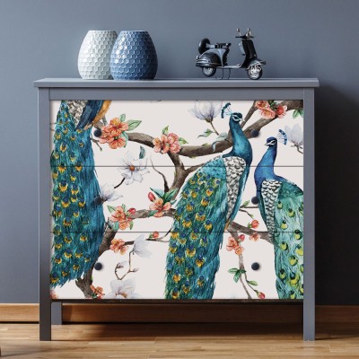 Houseart - ΣΗΜΑΝΤΙΚΟ: Σε περίπτωση διαφοράς τιμής από το κατάστημα ισχύει παντα και μόνο η τιμή του καταστήματος Παγώνια, Μοτίβα, Αυτοκόλλητα έπιπλων, 50 x 50 εκ.