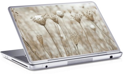 Πικραλίδα Skins sticker Αυτοκόλλητα Laptop 8,9 Inches / 25X17 cm (7942)