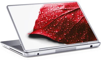 Houseart Φύλλο, Skins sticker, Αυτοκόλλητα Laptop, 25 x 17 εκ. [8,9 Inches]