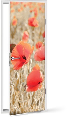 Houseart Ανεμώνη κόκκινη, Φύση, Αυτοκόλλητα πόρτας, 60 x 170 εκ.