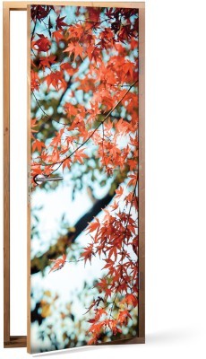 Φθινοπωρινό κλαδί Φύση Αυτοκόλλητα πόρτας 60 x 170 cm (11888)