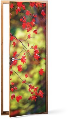 Φθινοπωρινά φύλλα Φύση Αυτοκόλλητα πόρτας 60 x 170 cm (11916)