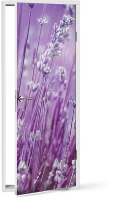 Houseart - ΣΗΜΑΝΤΙΚΟ: Σε περίπτωση διαφοράς τιμής από το κατάστημα ισχύει παντα και μόνο η τιμή του καταστήματος Λεβάντες, Φύση, Αυτοκόλλητα πόρτας, 60 x 170 εκ.