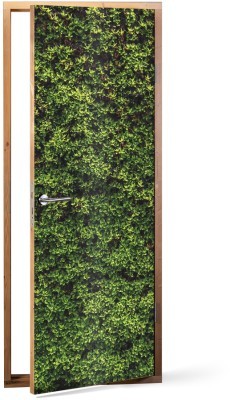 Πράσινη βρύα Φύση Αυτοκόλλητα πόρτας 60 x 170 cm (15587)