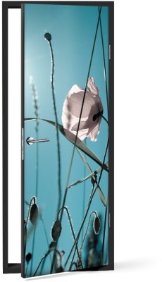 Άσπρη παπαρούνα Φύση Αυτοκόλλητα πόρτας 60 x 170 cm (12152)