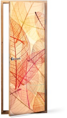 Διάφανα φύλλα Φόντο – Τοίχοι Αυτοκόλλητα πόρτας 60 x 170 cm (12022)