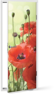 Houseart - ΣΗΜΑΝΤΙΚΟ: Σε περίπτωση διαφοράς τιμής από το κατάστημα ισχύει παντα και μόνο η τιμή του καταστήματος Κόκκινη παπαρούνα, Vintage, Αυτοκόλλητα πόρτας, 60 x 17