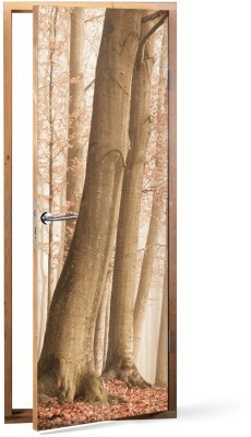 Διακόσμηση παιδικού δωματίου House Art - ΣΗΜΑΝΤΙΚΟ: Σε περίπτωση διαφοράς τιμής από το κατάστημα ισχύει παντα και μόνο η τιμή του καταστήματος Ομίχλη στο δάσος, Vintage, Αυτοκόλλητα πόρτας, 60 x 170