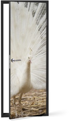 Παγόνι Ζώα Αυτοκόλλητα πόρτας 60 x 170 cm (12157)