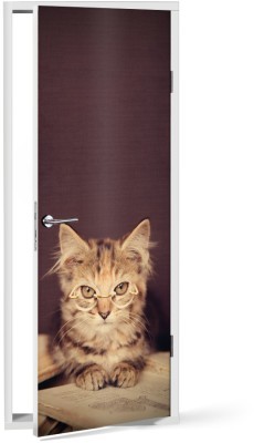 Γάτα με γυαλιά Ζώα Αυτοκόλλητα πόρτας 60 x 170 cm (12164)