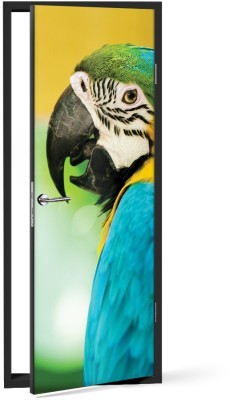 Παπαγάλος, Ζώα, Αυτοκόλλητα πόρτας, 60 x 170 εκ.