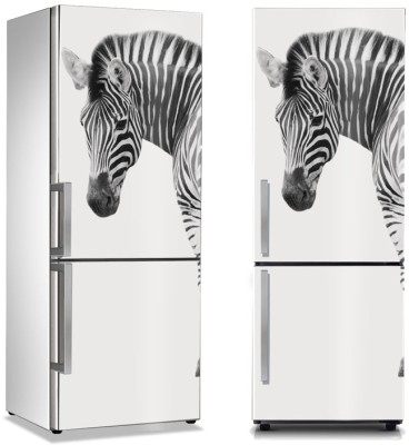 Ζέβρα, Διάφορα, Αυτοκόλλητα ψυγείου, 50 x 85 εκ. (37717)