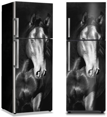 Μαύρο άλογο kladruby, Διάφορα, Αυτοκόλλητα ψυγείου, 50 x 85 εκ. (10619)