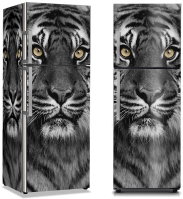 Τίγρης, Διάφορα, Αυτοκόλλητα ψυγείου, 50 x 85 εκ. (10727)