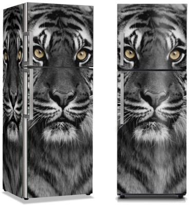 Houseart - ΣΗΜΑΝΤΙΚΟ: Σε περίπτωση διαφοράς τιμής από το κατάστημα ισχύει παντα και μόνο η τιμή του καταστήματος Τίγρης, Διάφορα, Αυτοκόλλητα ψυγείου, 50 x 85 εκ.