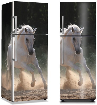 Άσπρο άλογο, Διάφορα, Αυτοκόλλητα ψυγείου, 50 x 85 εκ. (10728)