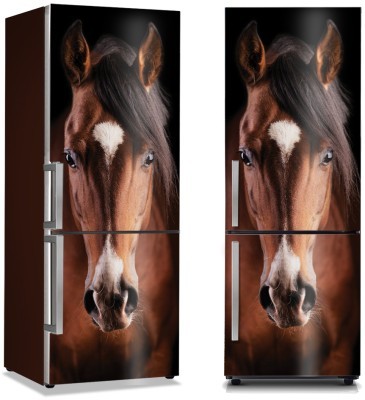 Καφέ άλογο, Διάφορα, Αυτοκόλλητα ψυγείου, 50 x 85 εκ. (45825)