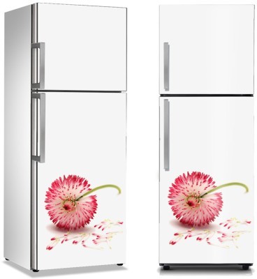 Κλέφτης, Φύση, Αυτοκόλλητα ψυγείου, 50 x 85 εκ. (13620)