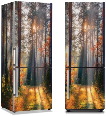 Ακτίνες ήλιου ανάμεσα στα δέντρα, Φύση, Αυτοκόλλητα ψυγείου, 50 x 85 εκ. (44503)