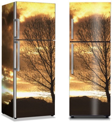 Γυμνό δέντρο, Φύση, Αυτοκόλλητα ψυγείου, 50 x 85 εκ. (13639)