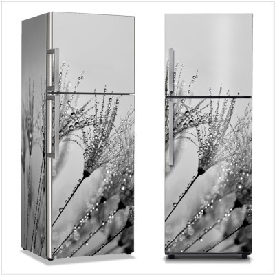 Δροσερή πικραλίδα, Φύση, Αυτοκόλλητα ψυγείου, 50 x 85 εκ. (13610)