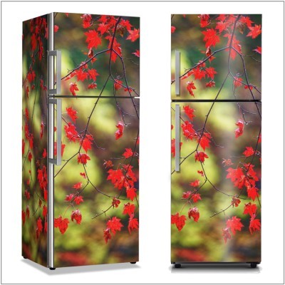 Φθινοπωρινά φύλλα, Φύση, Αυτοκόλλητα ψυγείου, 50 x 85 εκ. (13622)